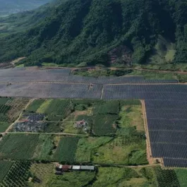 Image of the Trung ground-mounted PV solar farm, Vietnam.