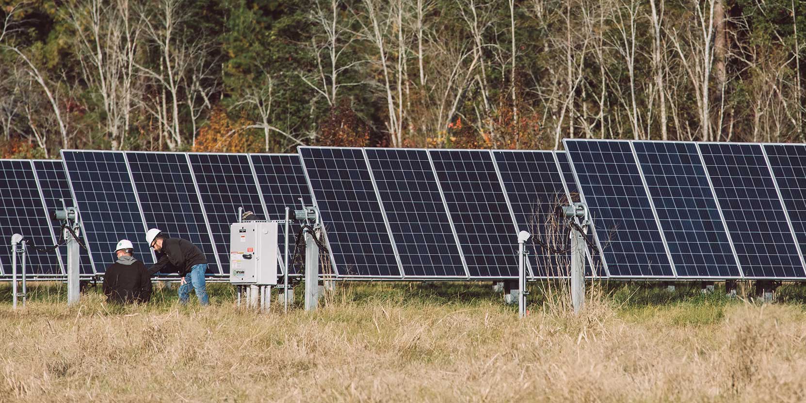 Solar Panel Techs