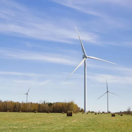 Nation Rise Wind Farm