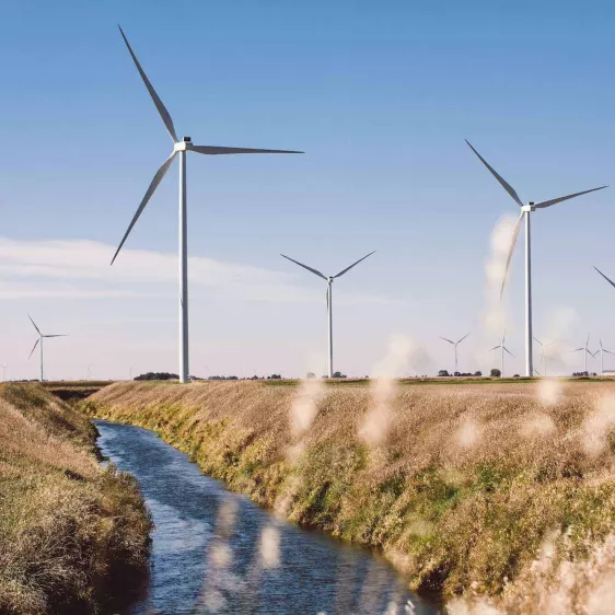 Wind Farms Image