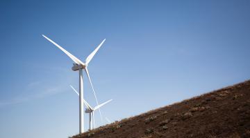 Rising Tree Wind Farm