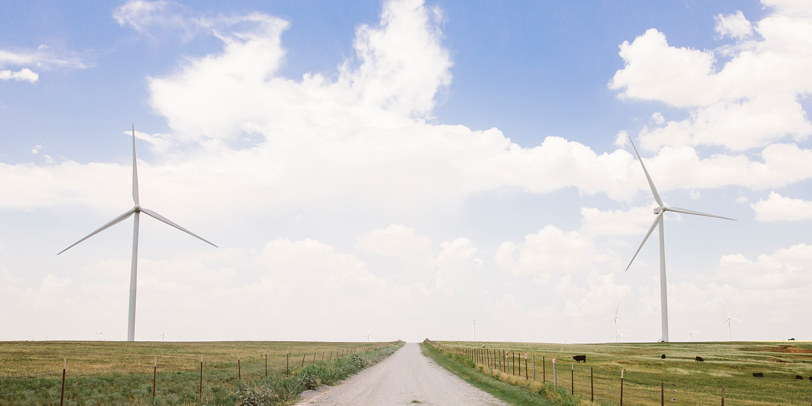 Wind Banner Road