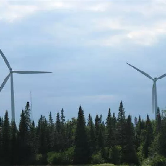 wind farm forest 